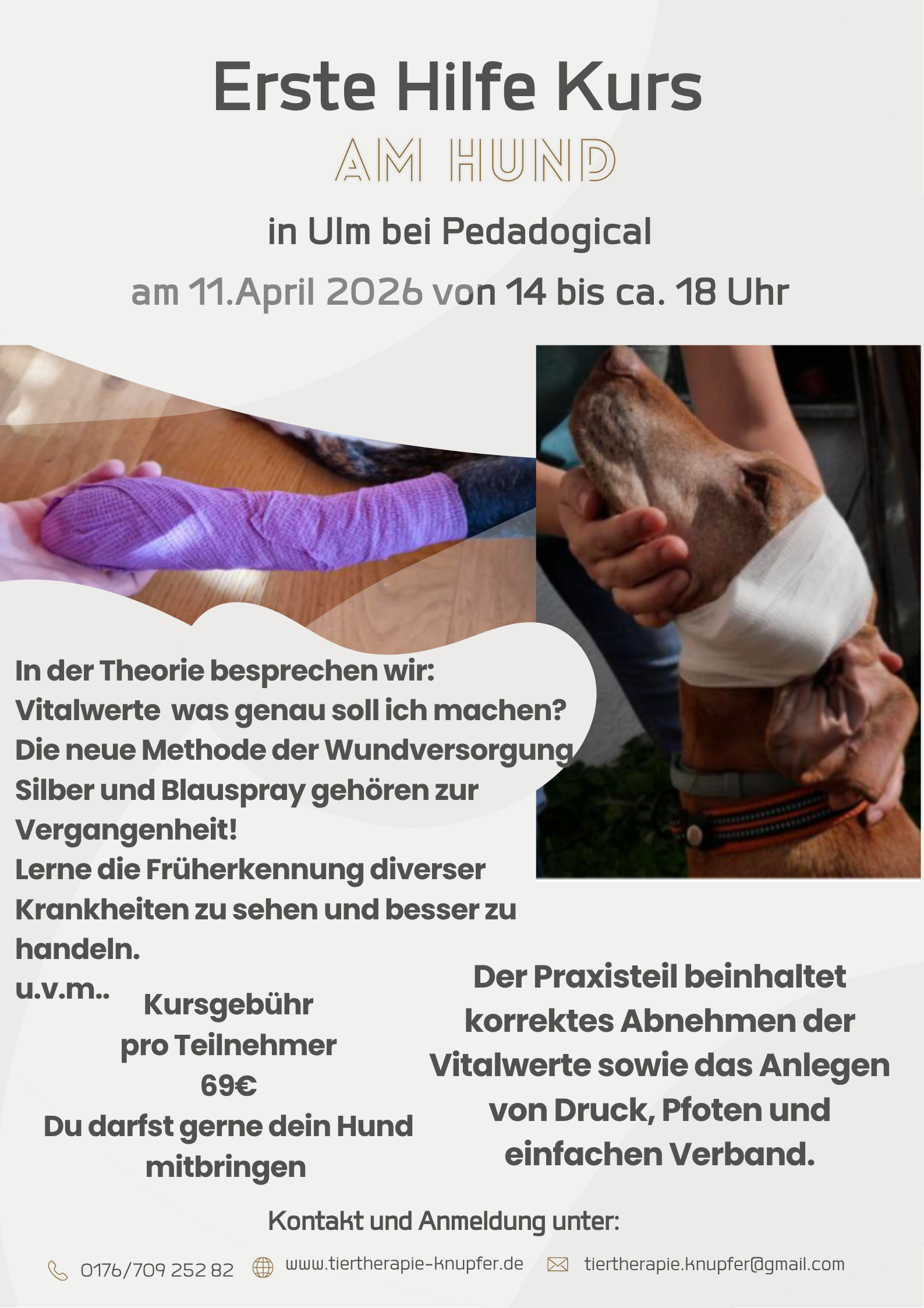 Grau Gold Organisch Minimalistisch Pilates Sport Schnupperstunde Poster_20250715_084848_0000