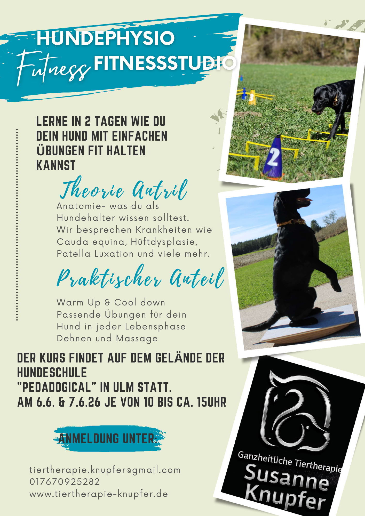 Green Travel Agency Flyer_20251117_170457_0000