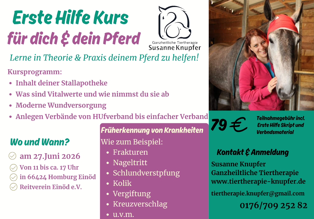 ERste Hilfe am Pferd Einöd