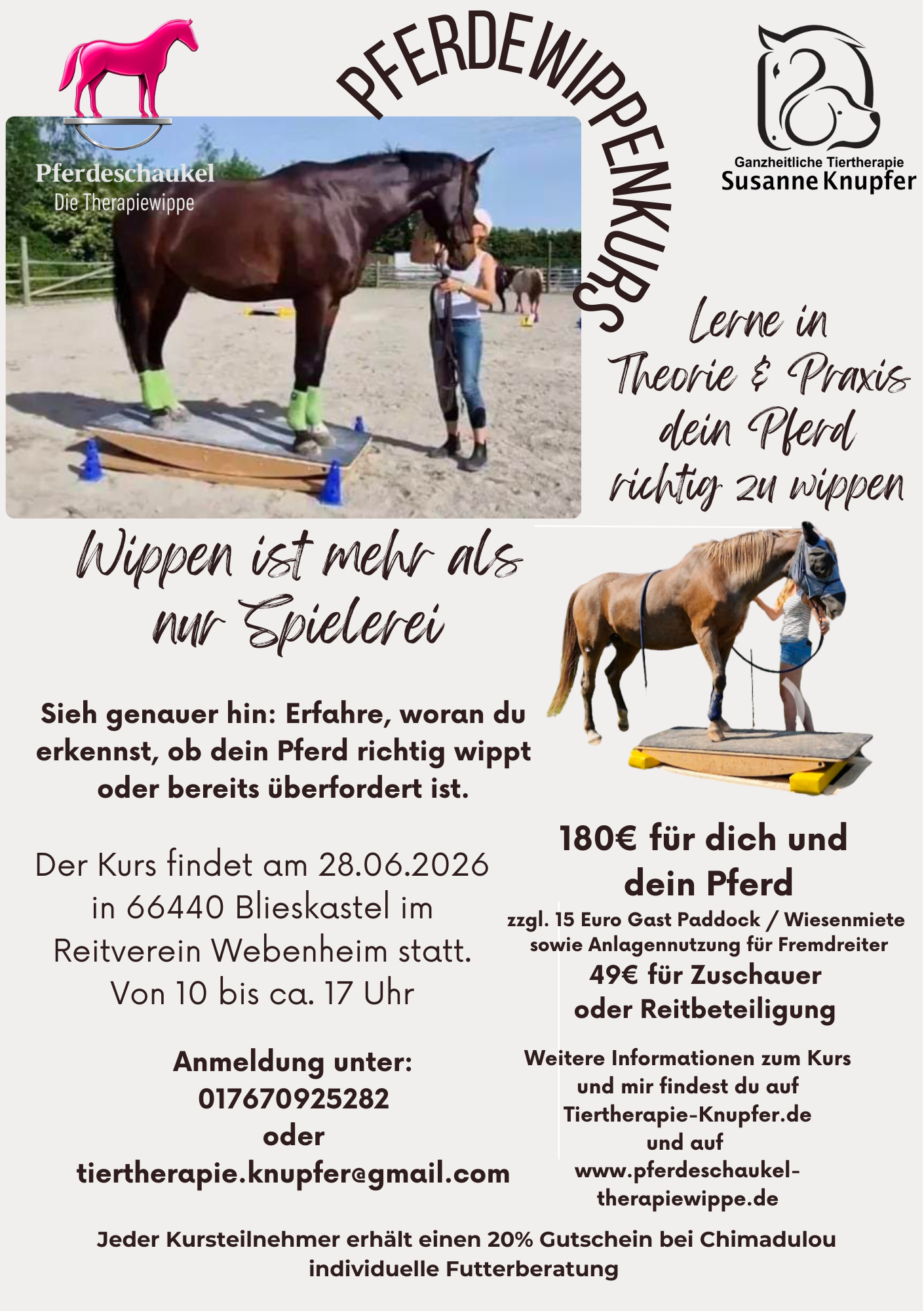 Flyer Wippenkurs Blieskastel