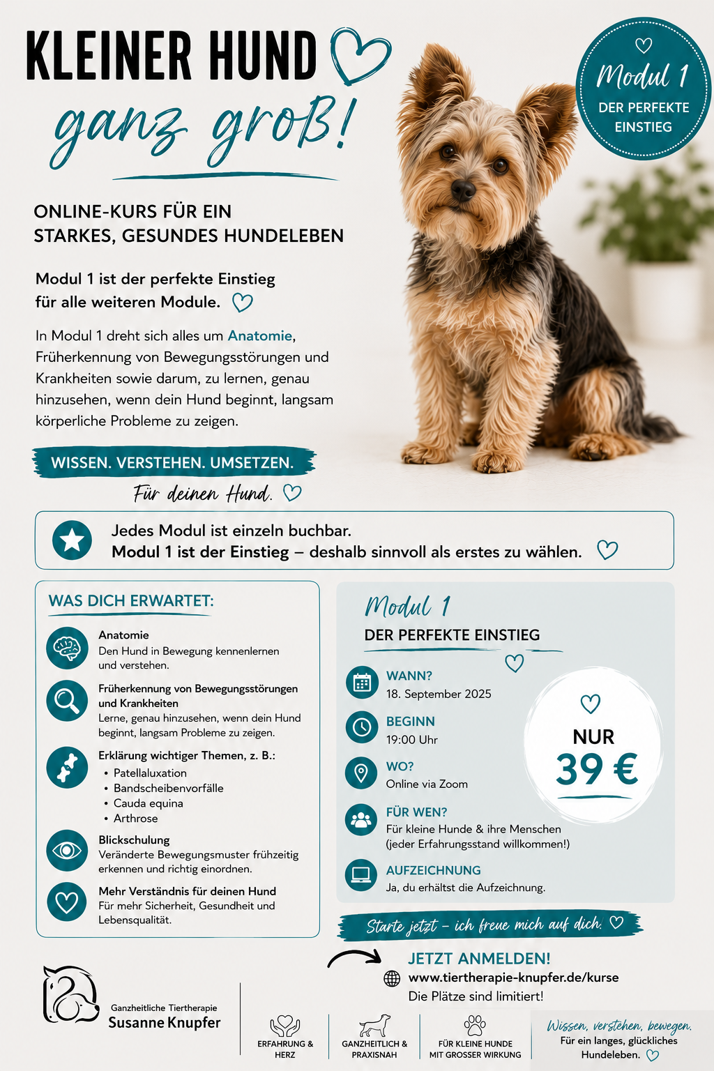 Kleiner Hund Kurs Modul 1